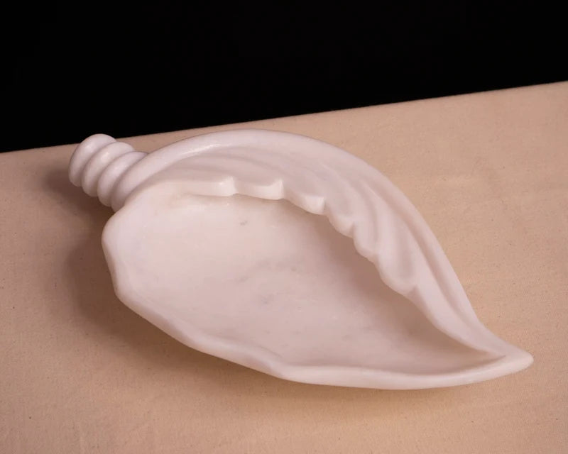 Close-up of seashell contour and smooth finish on white marble Urli